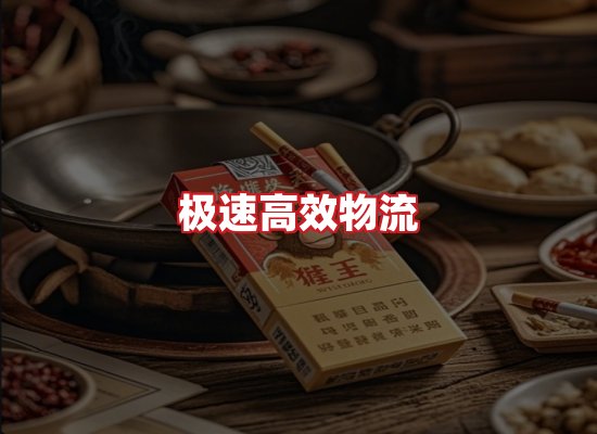 专业团队